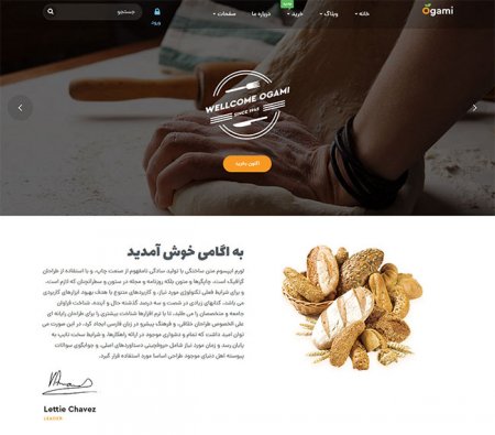 فروشگاه اینترنتی نان باگت ، در رشت ( طراحی سایت )
