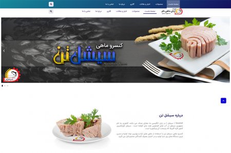 طراحی سایت تن ماهی ، شرکت تن ماهی