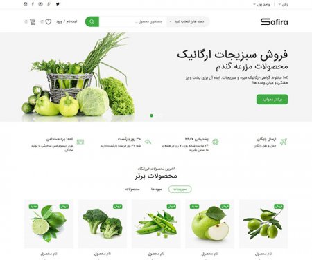 طراحی سایت میوه فروشی، فروشگاه میوه در رشت و گیلان
