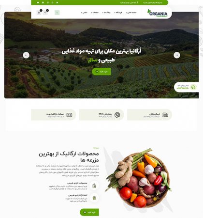 طراحی سایت موادغذایی ، محصولات ارگانیک