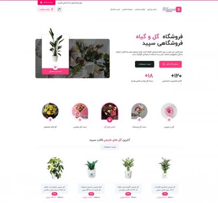 طراحی سایت فروشگاه گل و گیاه آپارتمانی | فروشگاه آنلاین